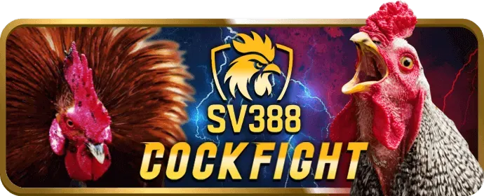 Hình ảnh minh họa hỗ trợ khách hàng và câu hỏi thường gặp slot365 login