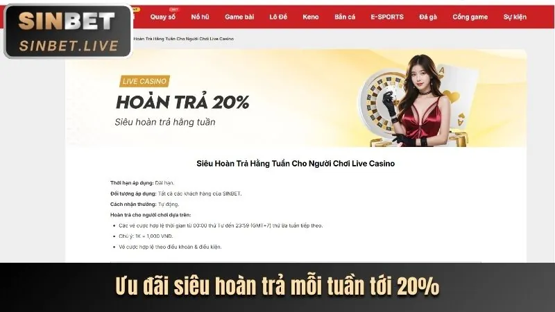 Tổng quan nền tảng sòng bạc trực tuyến slot365 login